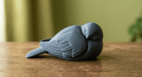 The Sleeping Birds Series: #9 3 colored 16