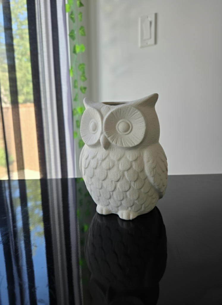 Owl Desk Organizer STL 3D Print Model 5 ss5