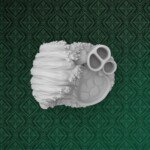 keyshot8.1173