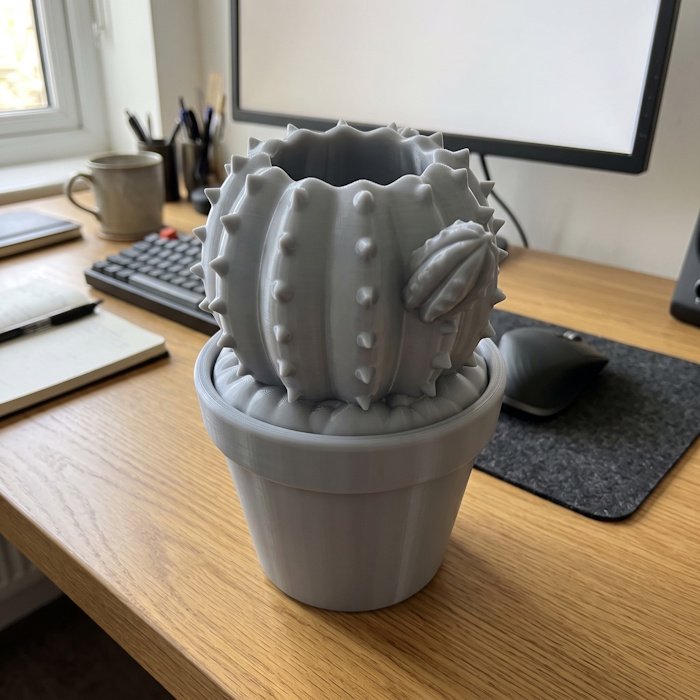 Cactus Desk Organizer 1 key 46
