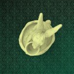 keyshot8.242