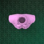 keyshot8.293